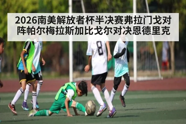 2026南美解放者杯半决赛弗拉门戈对阵帕尔梅拉斯加比戈尔对决恩德里克